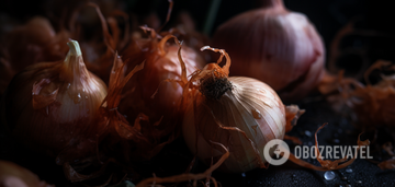 What to feed onions in June: the heads will be twice as big