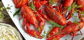 How to boil crayfish deliciously: they are very juicy 
