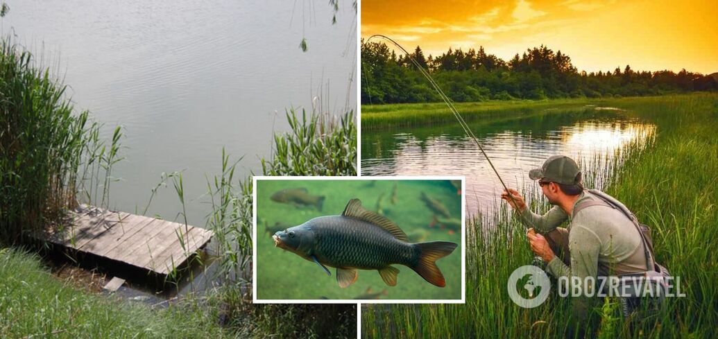 What bait to take for carp - how to make it at home - summer fishing