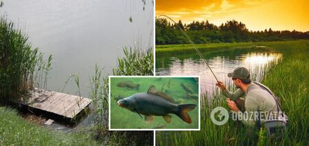 Bait will be crazy: how to make bait for carp at home