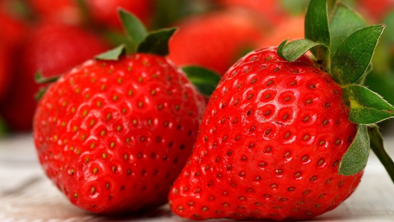 How to keep strawberries fresh for a week: 2 tricks that are available to everyone