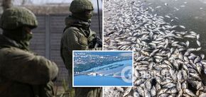 In Maryanske, Dnipropetrovsk region a mass fish kill was recorded due to the consequences of the Kakhovka hydroelectric power plant explosion. Photo and video