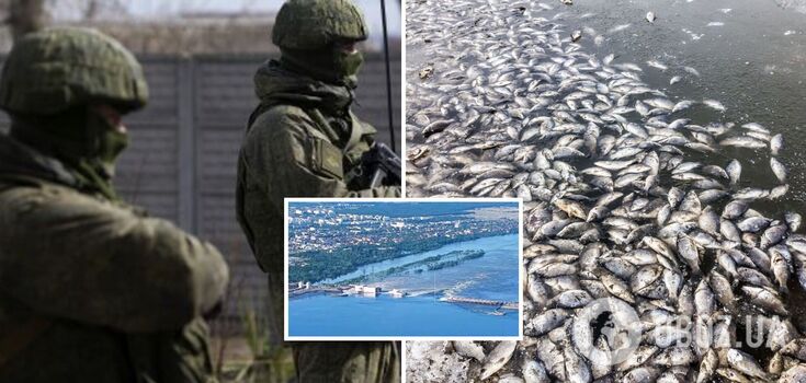 In Maryanske, Dnipropetrovsk region a mass fish kill was recorded due to the consequences of the Kakhovka hydroelectric power plant explosion. Photo and video