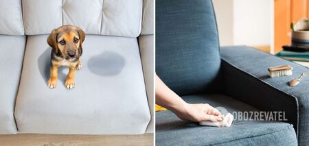 How to clean old stains on the couch: a simple tiphack