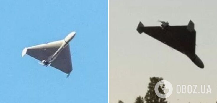 In Sumy region an enemy drone hit a private house: two people were killed, one was injured. Photo