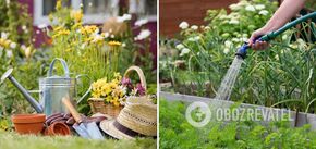 When and how often to water vegetables in the garden: the main rules