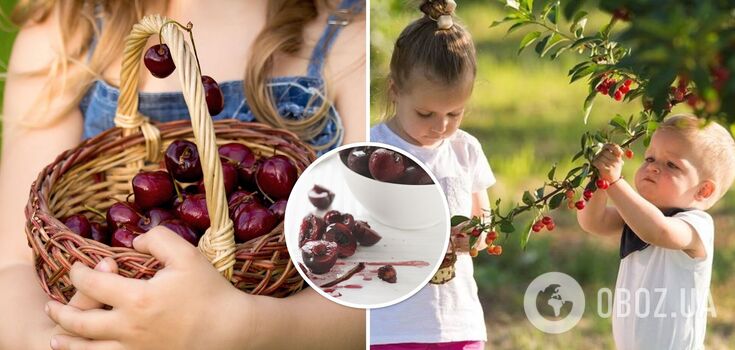 How to remove cherry and wild cherry stains: a selection of life-saving remedies