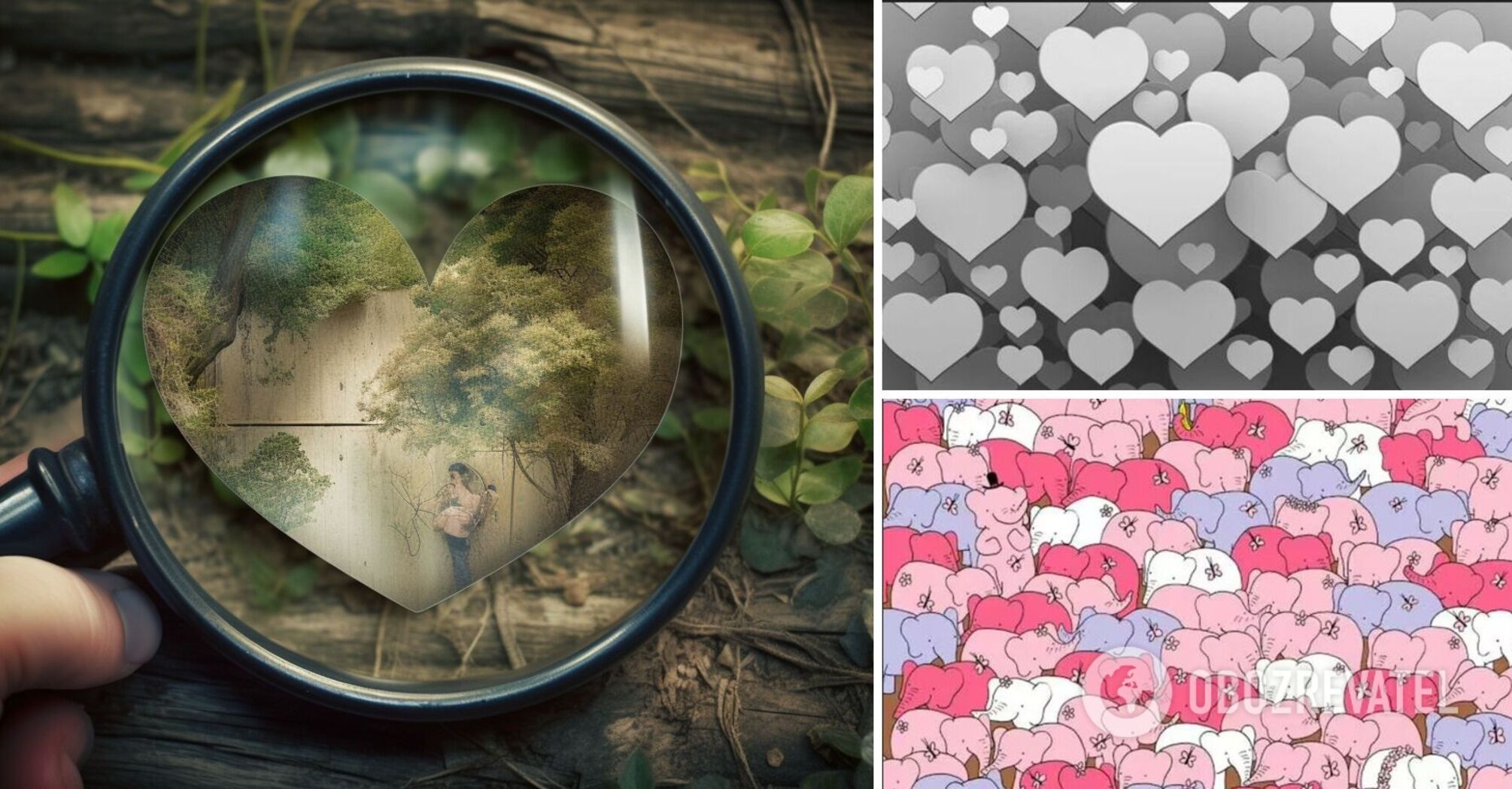 A puzzle for people with a high IQ: only a select few will find the heart in the picture
