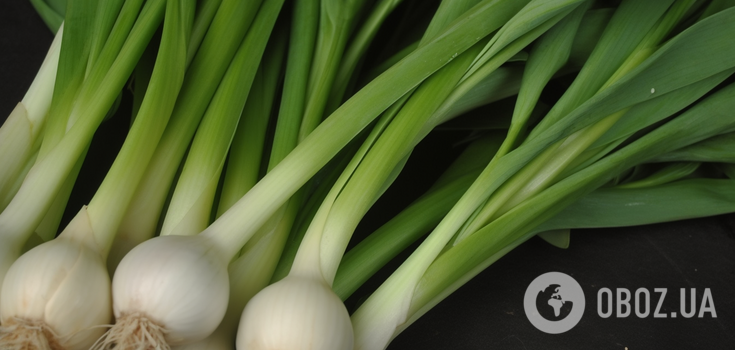 How to cut the arrows on garlic so as not to spoil the harvest: lifehack for vegetable gardeners