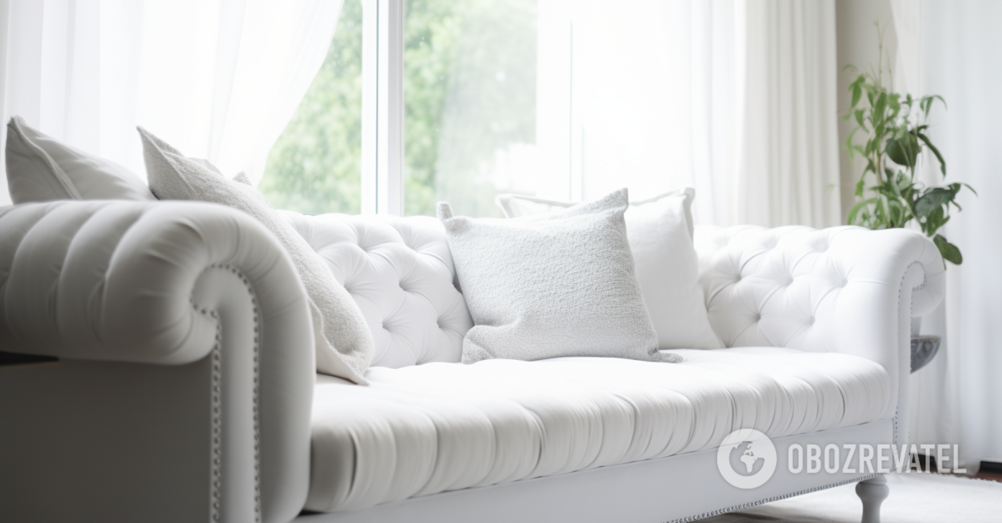 A+ assignment: how to clean a white sofa to like-new condition