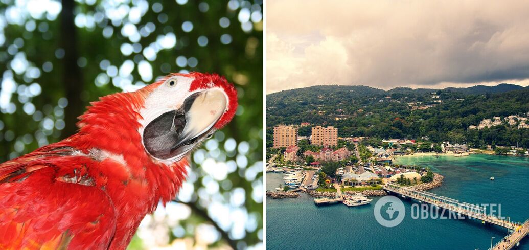 Obedience to the British crown and piety: 10+ facts about Jamaica you didn't know