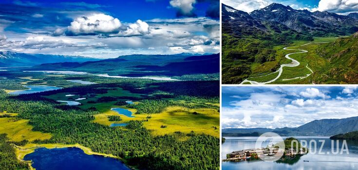 Bears and giant mosquitoes: 6 things to know before you go to Alaska