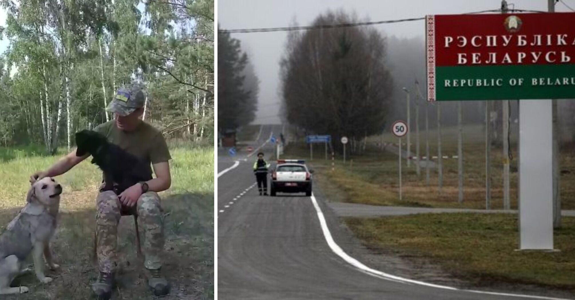 Moved to the side of good: dogs from Belarus stood up to defend the border of Ukraine. Video