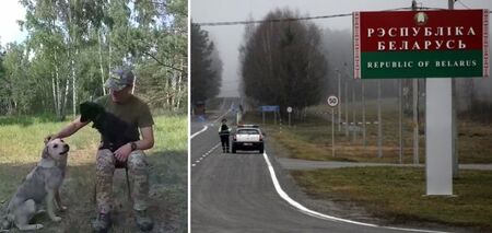 Przeszły na stronę dobra: psy z Białorusi stanęły w obronie granicy z Ukrainą. Wideo