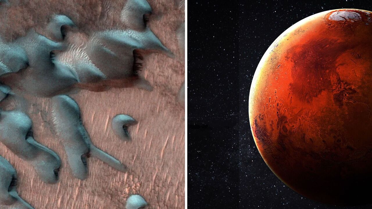Mankind has already found life on Mars, but could accidentally kill it