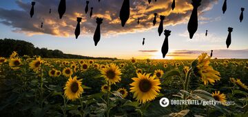 Jak zamienić ból w siłę napędową pozytywnych zmian w czasach wojny?