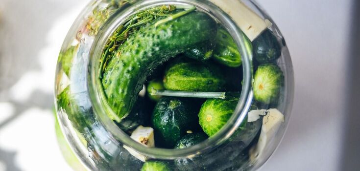 Cucumbers for the winter
