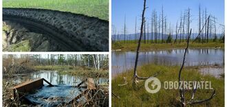 Nature's karma: 65% of Russia's territory is gradually turning into a swamp