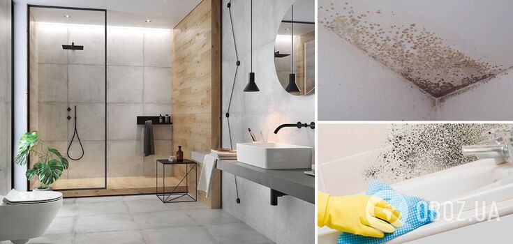 How to get rid of fungus in the bathroom: natural remedies