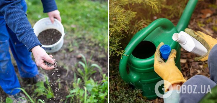 Never fertilize your vegetable garden with it: popular products that are actually harmful