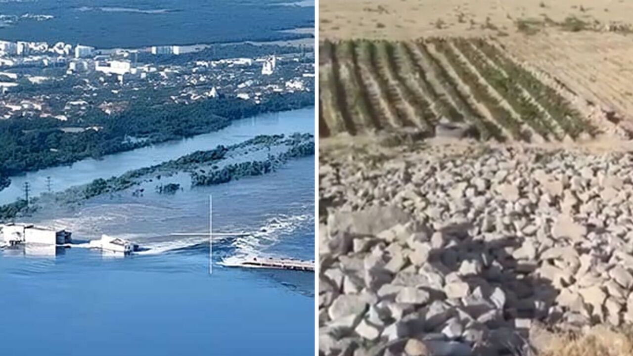 "Ukrainians will not be broken!" At the bottom of the Kakhovka reservoir near Nikopol planted potatoes. Video