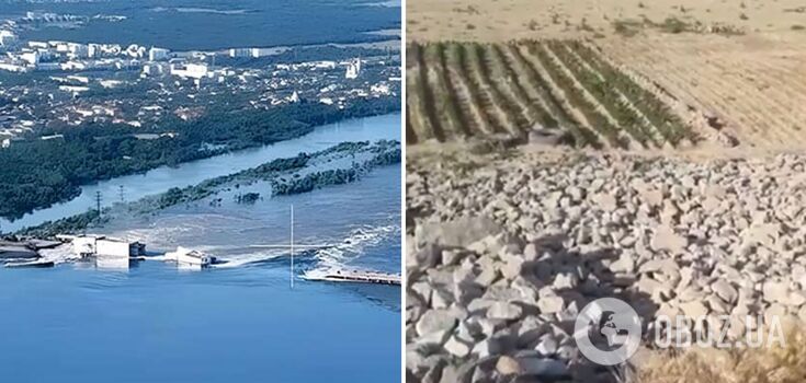 "Ukrainians will not be broken!" At the bottom of the Kakhovka reservoir near Nikopol planted potatoes. Video