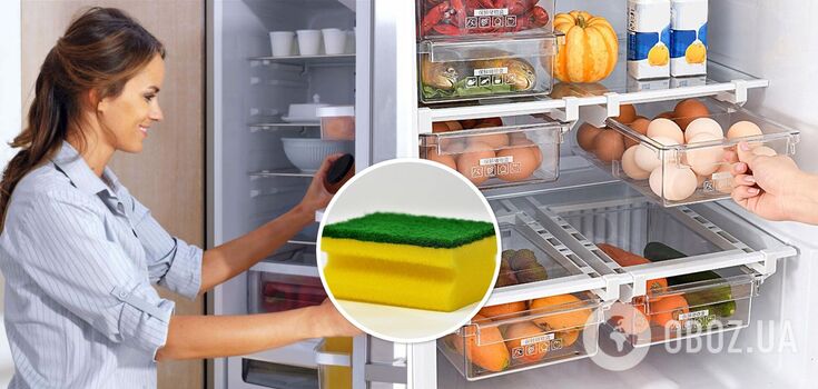 Why salt a dishwashing sponge: the secret of experienced housewives