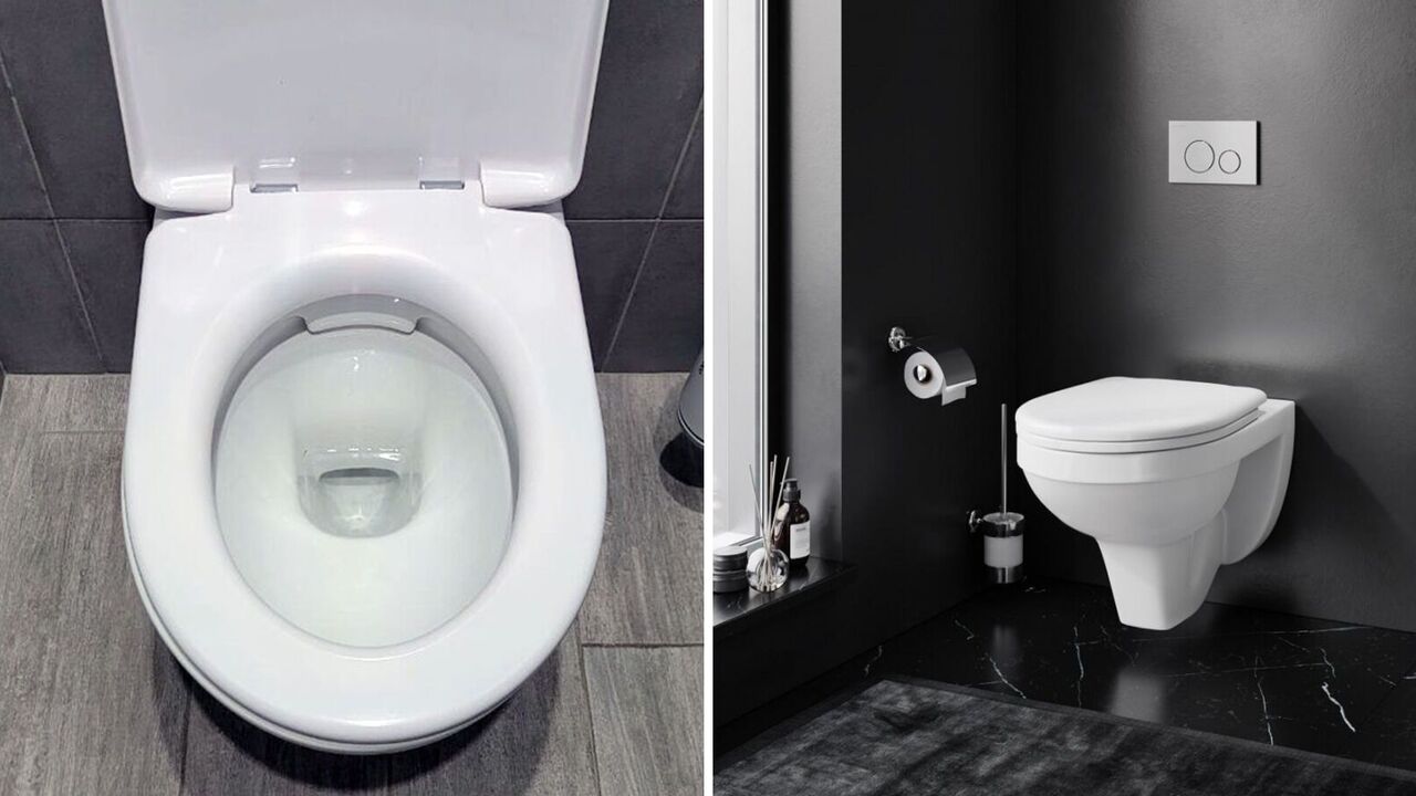 The toilet bowl will shine and stay clean for a long time: the perfect cleaning product