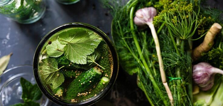 What cucumbers are best for canning: three main varieties