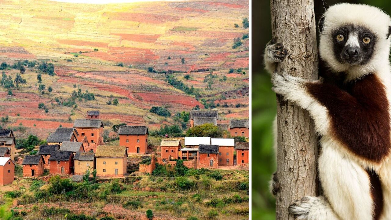Amazing Madagascar: 14 facts about the exotic country from the cartoon