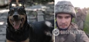 'Przyniósł skądś 5 suchych racji żywnościowych': żołnierze 77 Brygady Desantowo-Szturmowej opowiadają, jak pies Żuża uratował ich przed głodem na linii frontu. Wideo
