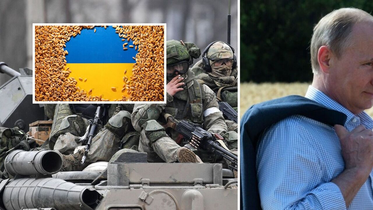 Rosja planuje wysłać ukradzione na Ukrainie zboże do Afryki: ujawniono szczegóły planu okupantów