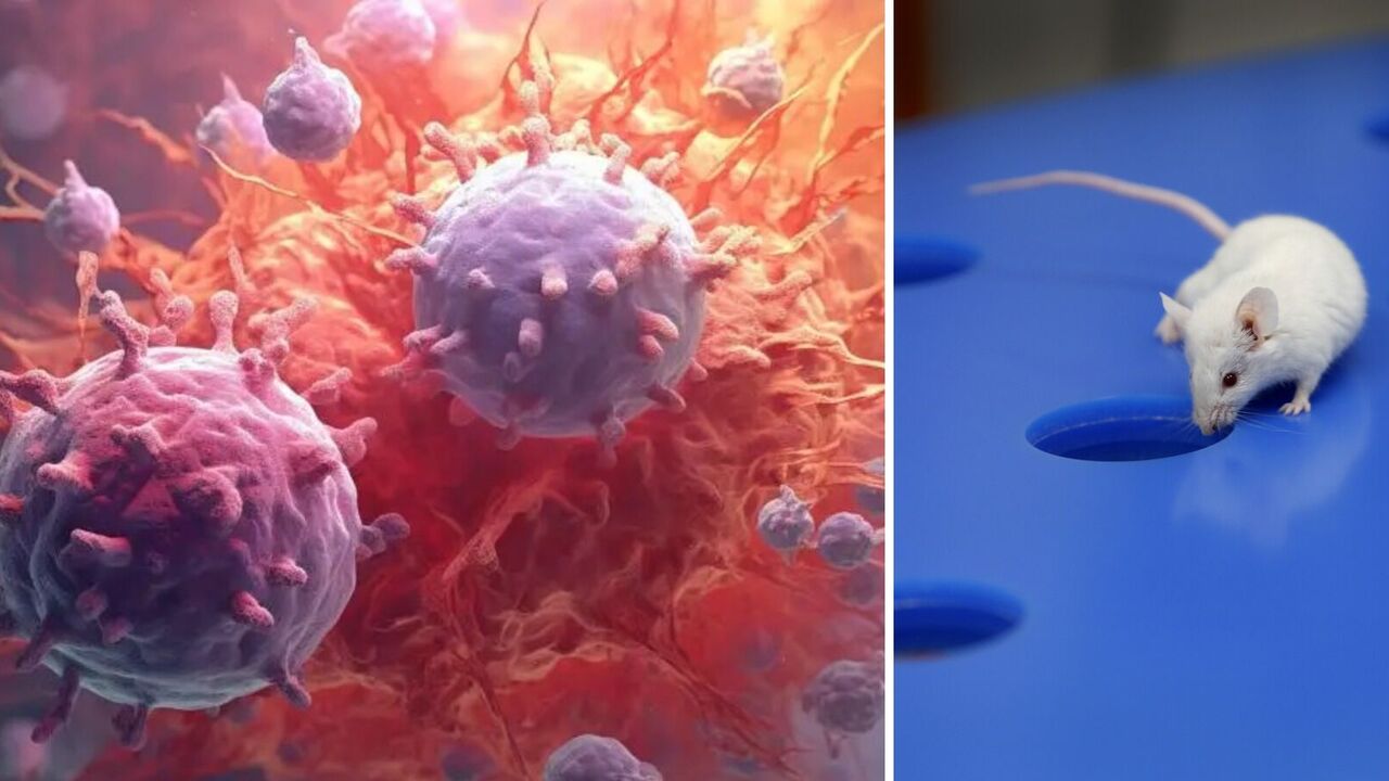 Scientists forced cancer cells to kill themselves by producing bacterial toxin