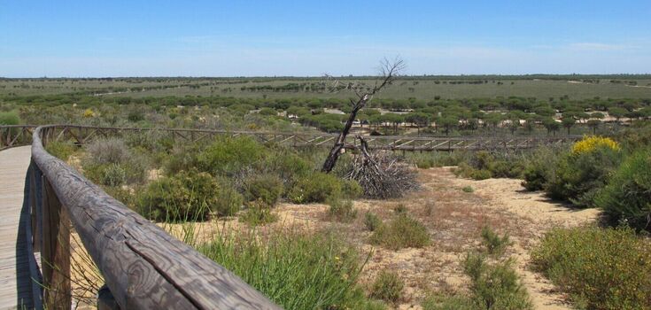 On the brink of disaster: the Doñana World Heritage Site in Spain is almost destroyed