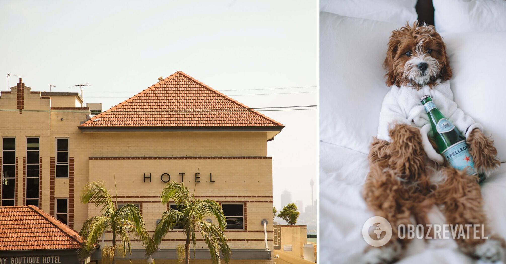 Loud neighbors and uncomfortable beds: what really annoys tourists in hotels