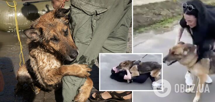 Not seen for almost a month: a dog lost after the Kakhovka hydroelectric power station explosion meets his owner. A touching video