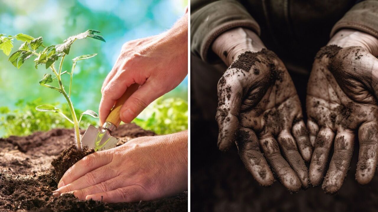 How to wash your hands after the garden: simple ways
