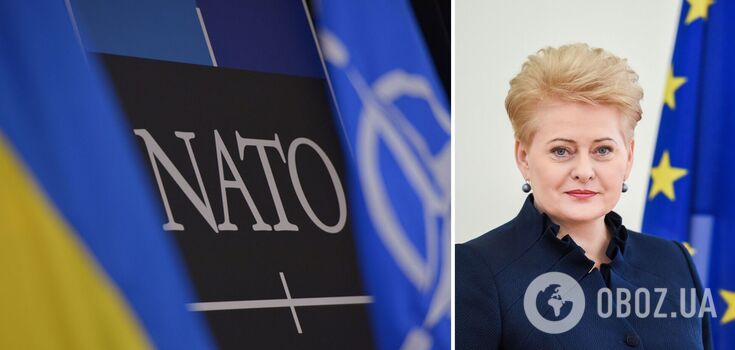 Proces przystąpienia Ukrainy do NATO powinien rozpocząć się teraz - były prezydent Litwy
