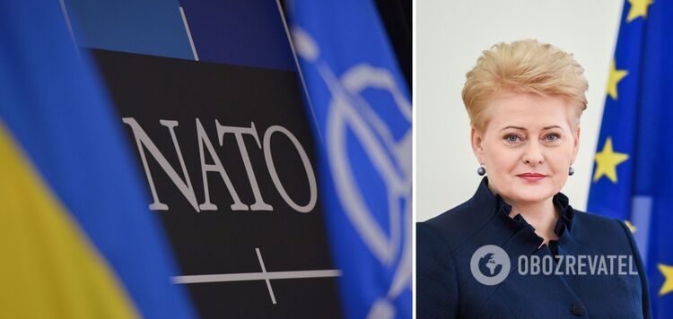 The process of Ukraine's accession to NATO should be started now - the former president of Lithuania