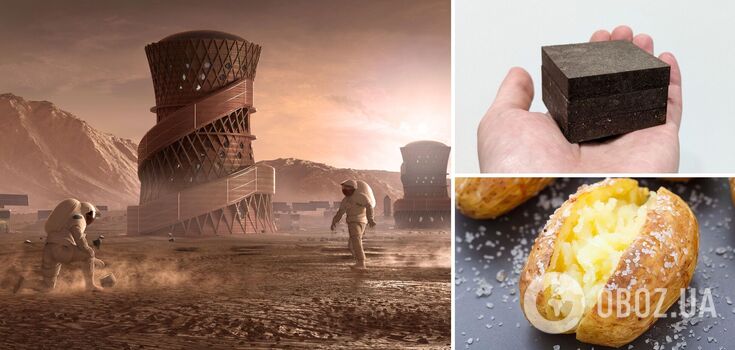 Astronauts on Mars offered to live in houses made of potatoes and salt: what's the secret