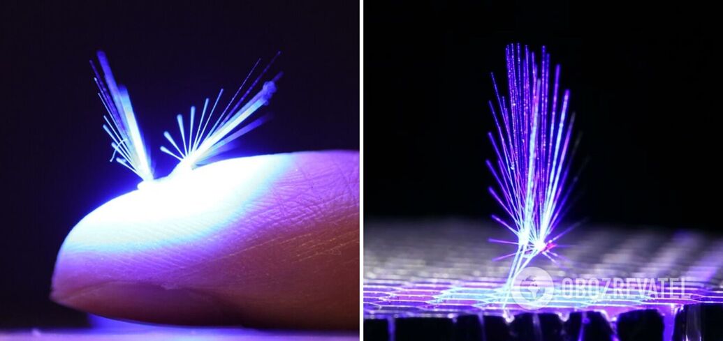 Scientists have created a fairy robot that is carried by the wind: impressive video