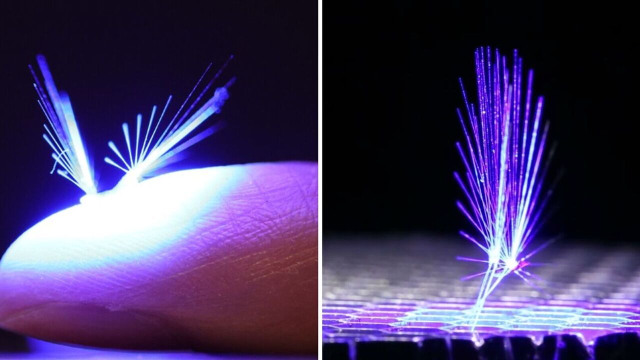 Scientists have created a fairy robot that is carried by the wind: impressive video