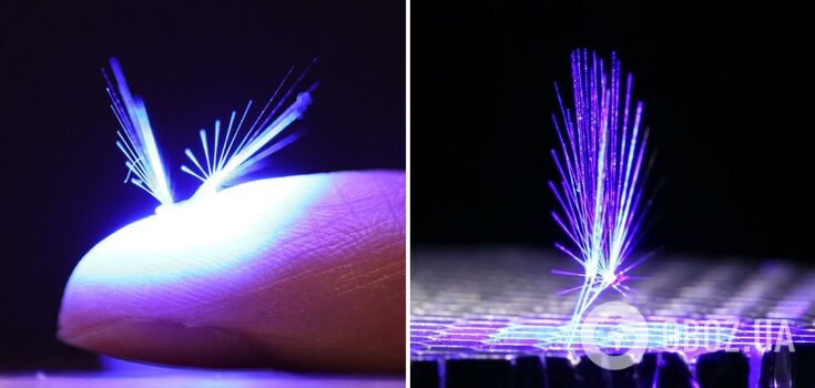 Scientists have created a fairy robot that is carried by the wind: impressive video