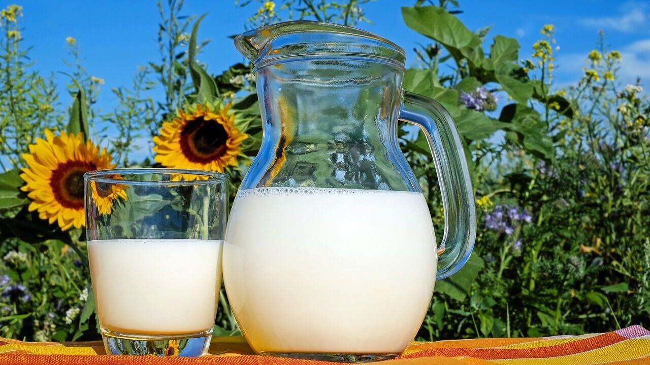 The best way to test milk for quality in 1 minute