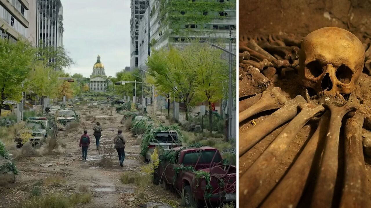Is the Earth facing civilisational collapse? Environmentalist suggests mass deaths by the end of the century