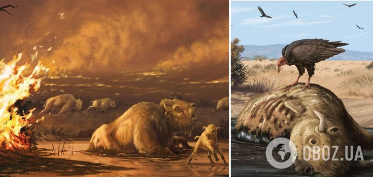Ludzkość prawdopodobnie wytępiła megafaunę Ziemi 13 000 lat temu: jak do tego doszło