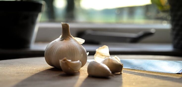 In what dishes you should not add garlic: we tell you about the reasons why