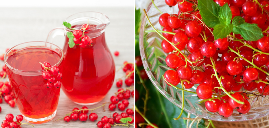 Przepis na kompot z czerwonej porzeczki