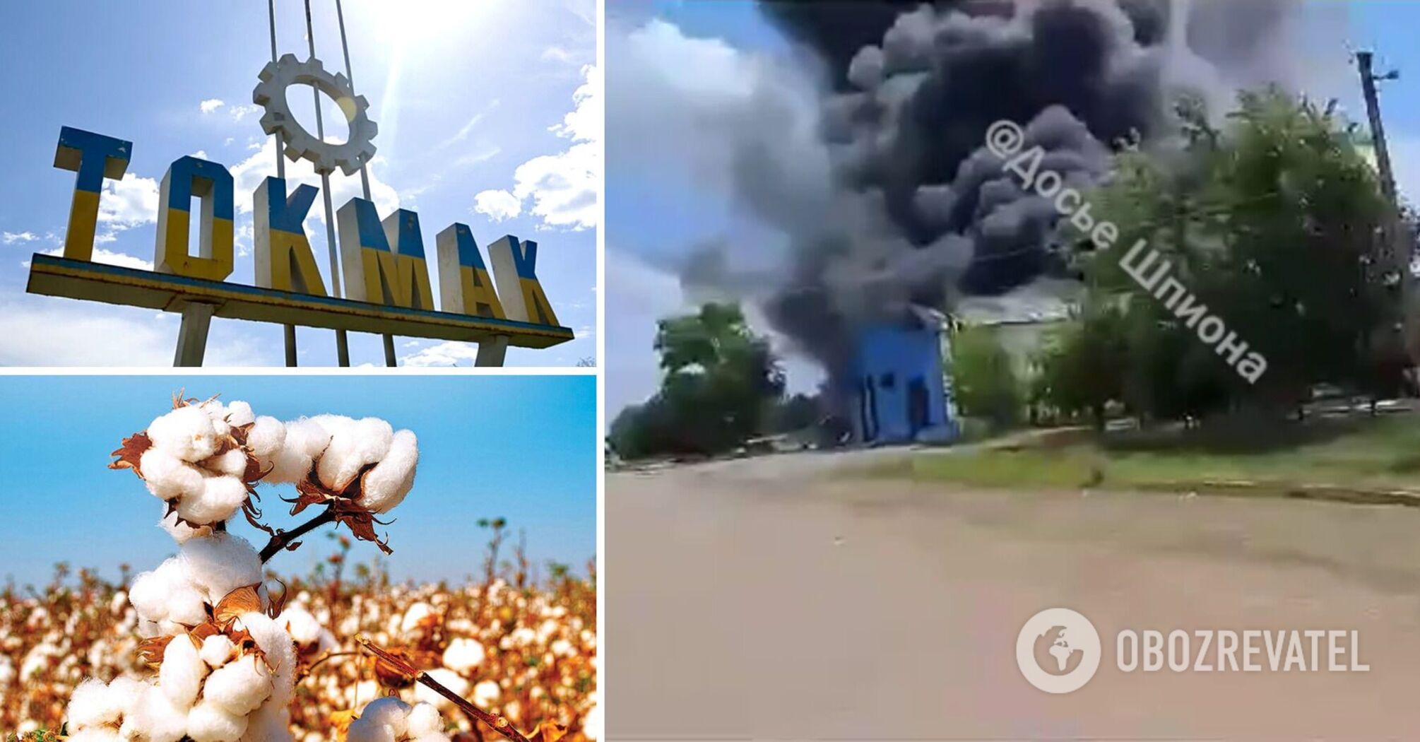 "Cotton" in Tokmak