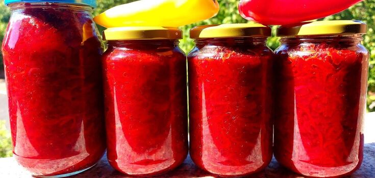 How to prepare a delicious dressing for borscht with beets
